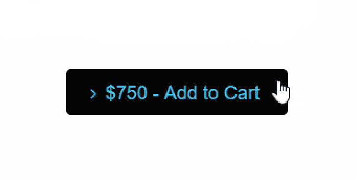 Invoice Checkout Add to Cart