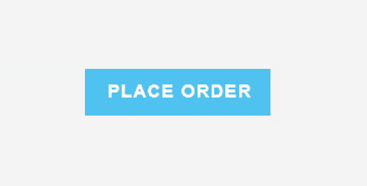 Invoice Checkout Place Order