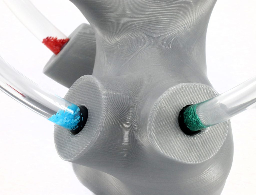 FluidFilled Vestibular Apparatus Vestibular First