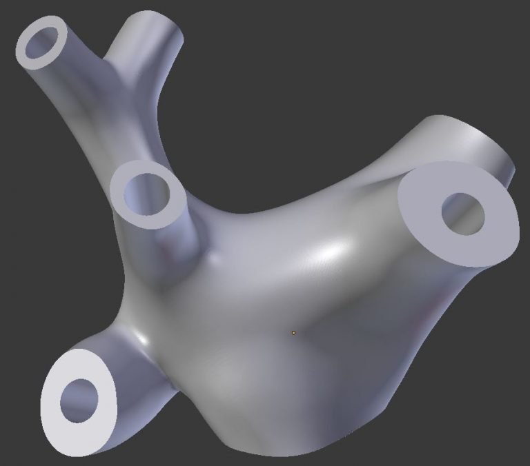 How to Make A FluidFilled Vestibular Apparatus Vestibular First