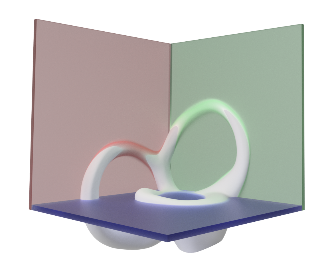 FluidFilled Vestibular Apparatus Vestibular First