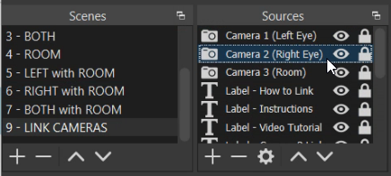 How to Link the Scene Cameras to OBS Vestibular First