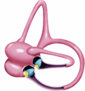 Screenshot 2025-05-27 133933 (1)