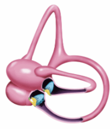 Screenshot 2025-05-27 133933 (1)