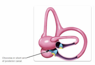 Screenshot 2025-08-08 080157