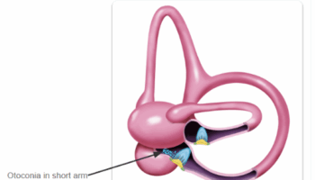 Screenshot 2025-08-08 080157