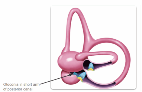 Screenshot 2025-08-08 080157