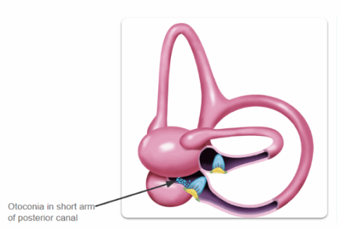 Screenshot 2025-08-08 080157