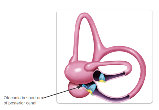 Screenshot 2025-08-08 080157