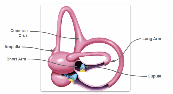 Screenshot 2025-09-26 091302