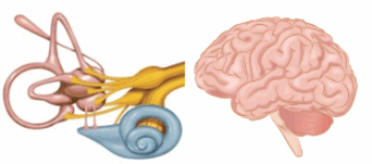 Screenshot 2025-10-14 092526