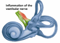 Screenshot 2025-10-22 094905