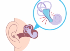 Screenshot 2025-10-28 120218