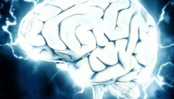 brain-1845962_1920-1024x775-1160x500