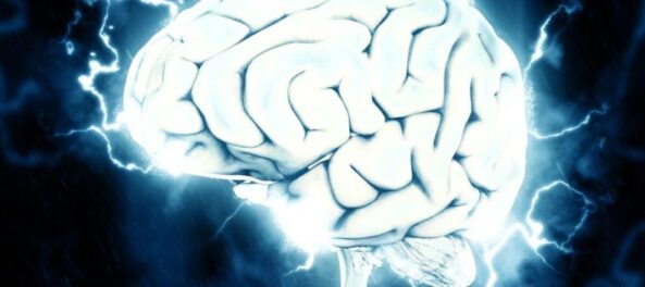 brain-1845962_1920-1024x775-1160x500