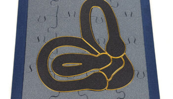 Vestibular Apparatus Puzzle - 3D Printed