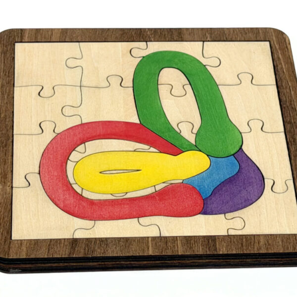 Vestibular Apparatus Puzzle - Wooden