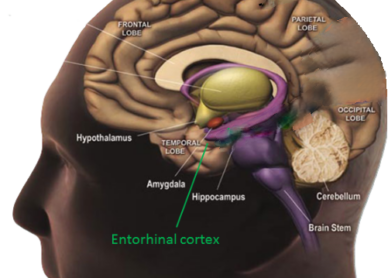 Screenshot 2026-03-17 111249