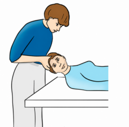 Supine Version